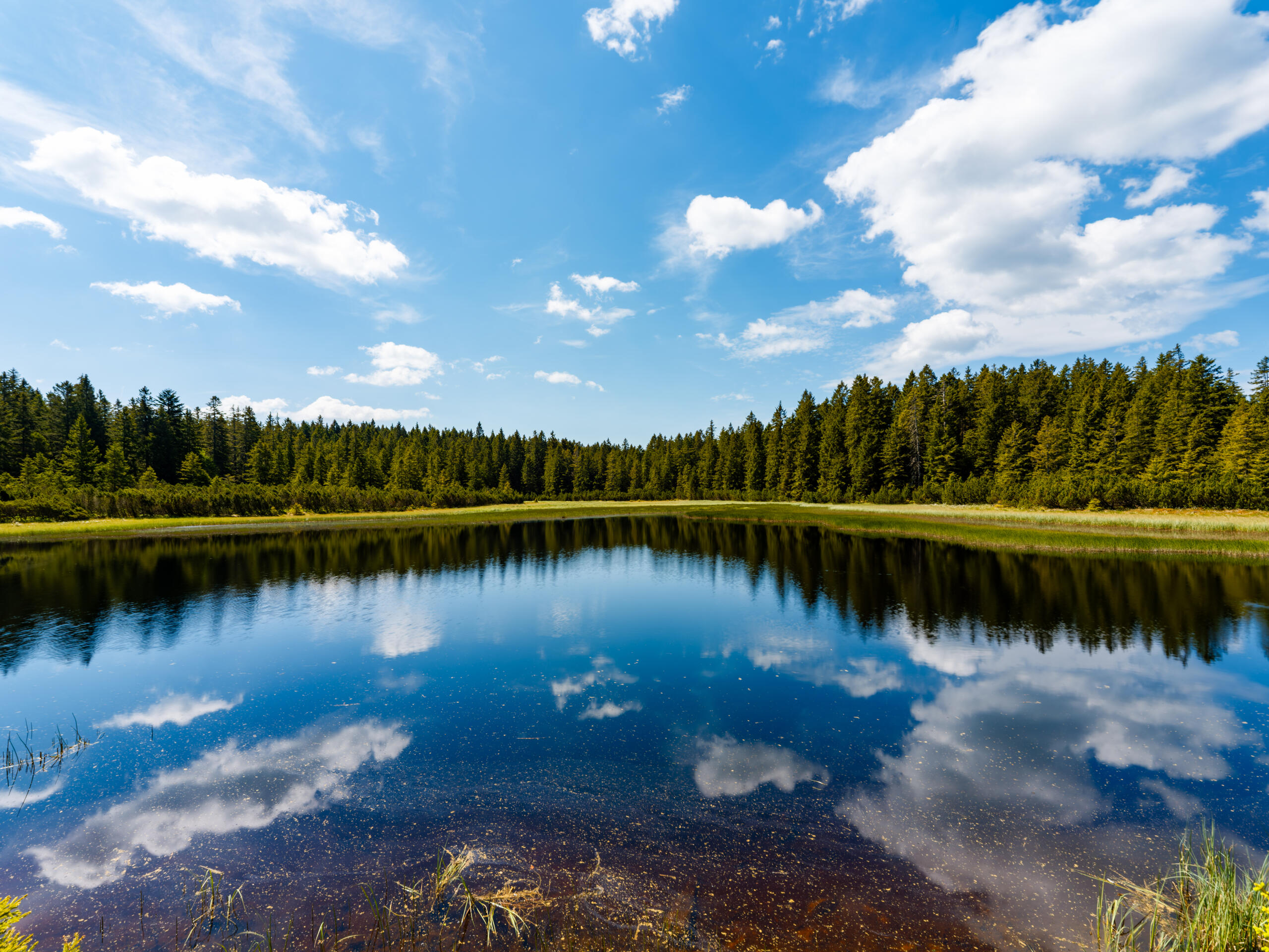 Black Lake, Slovenia, 2026