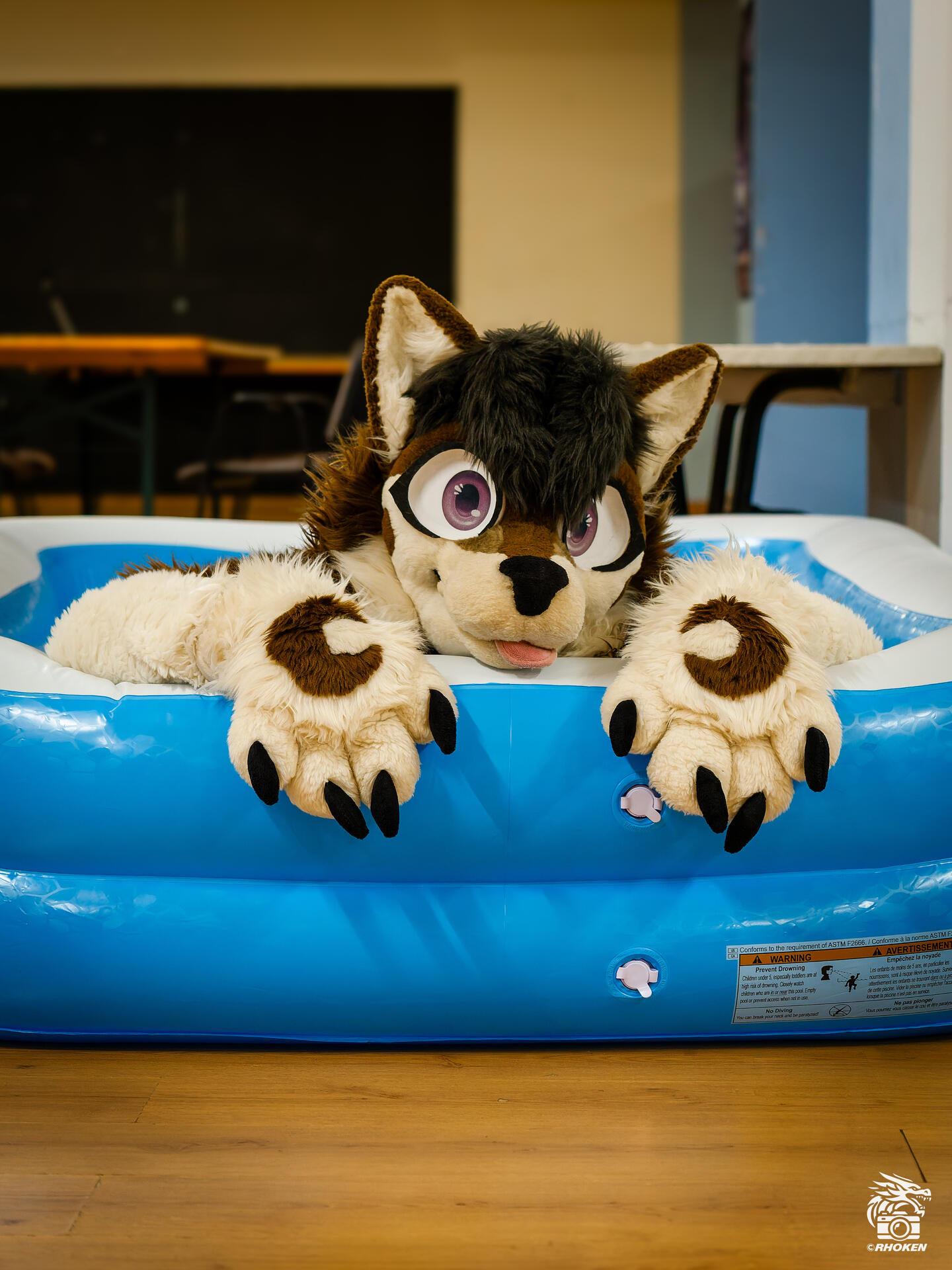 Suiter: Shasta, WildOut Back2Fun '26, Italy, 2026